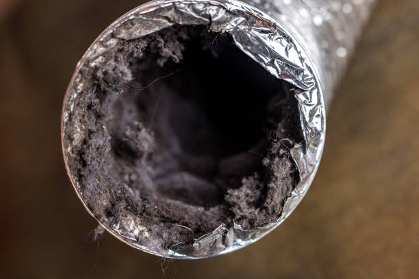 Best HVAC Maintenance and Cleaning  in Conrad, MT