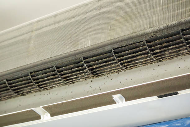 Best HVAC Duct Inspection Services  in Conrad, MT